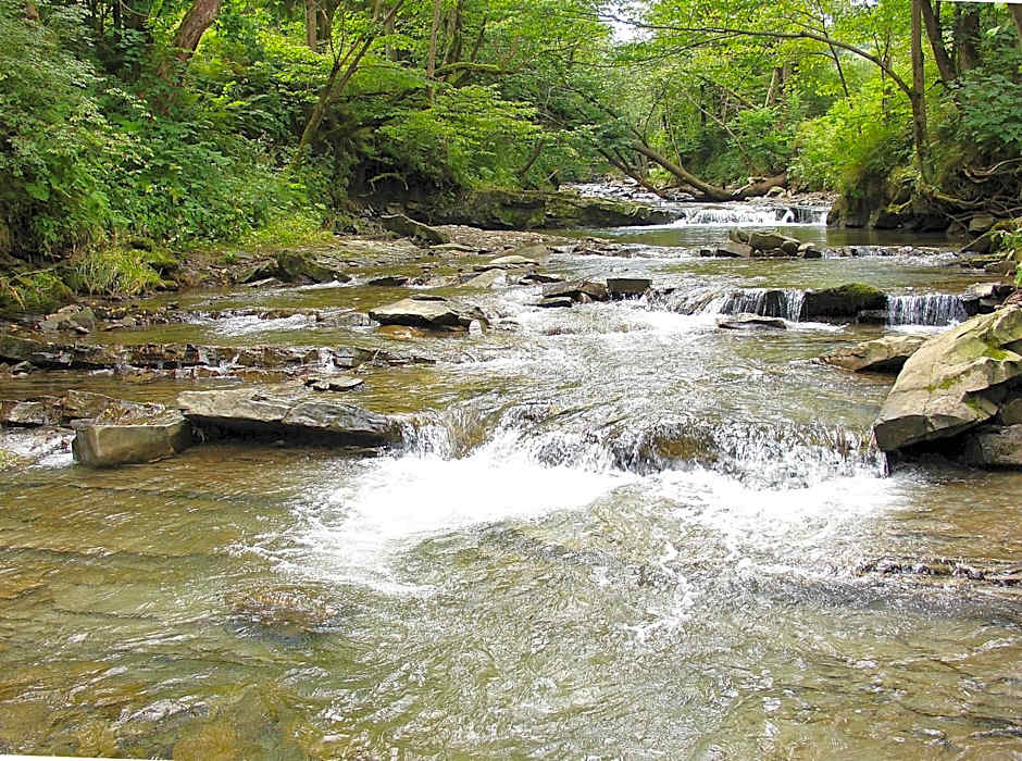 Domek Skowronek z basenem