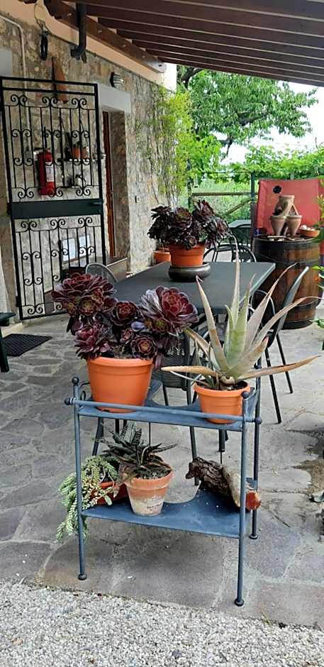 B&B Le Terrazze