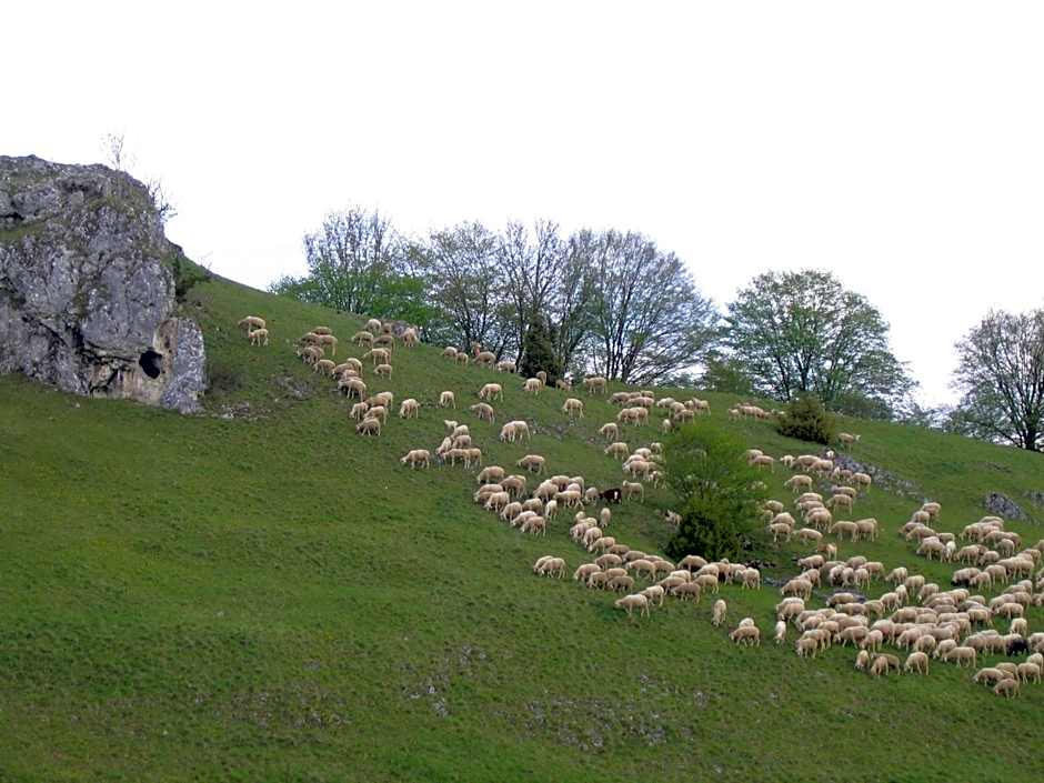 Sontheimer Wirtshäusle