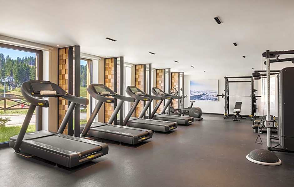 Viceroy Kopaonik Resort & Spa