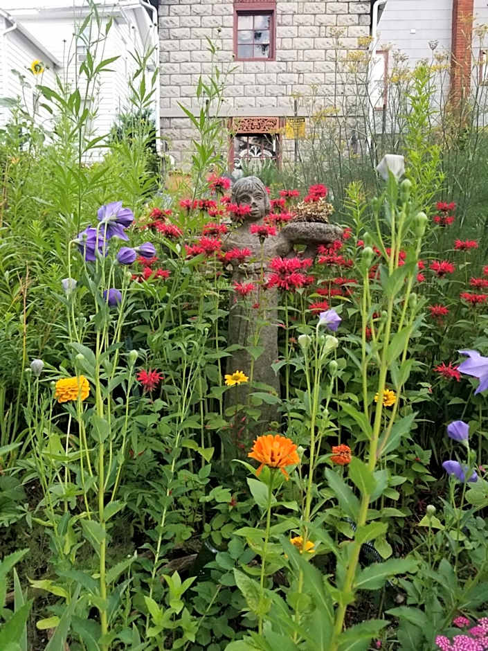 The Queen, A Victorian Bed & Breakfast