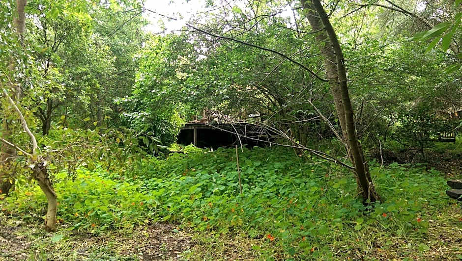 Black Cockatoo Lodge