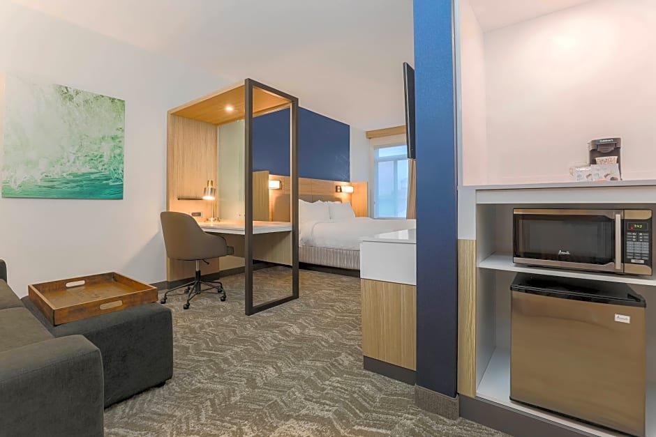SpringHill Suites by Marriott Tallahassee North