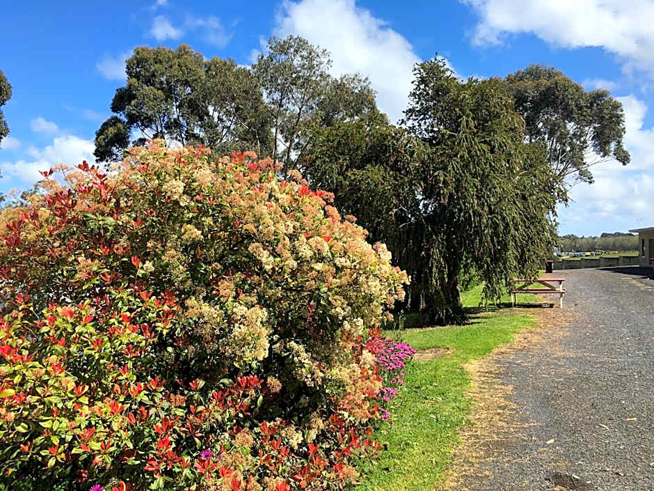 Limestone Coast Tourist Park