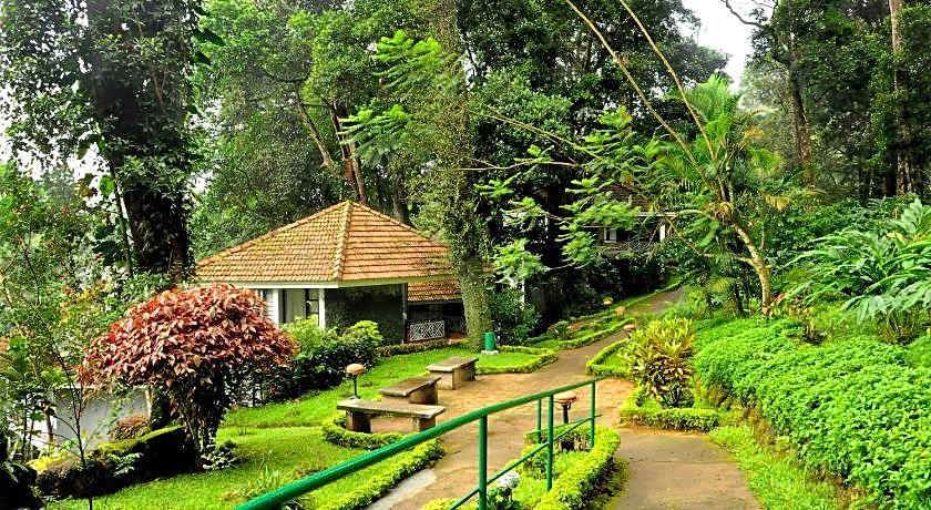 The Tall Trees Munnar