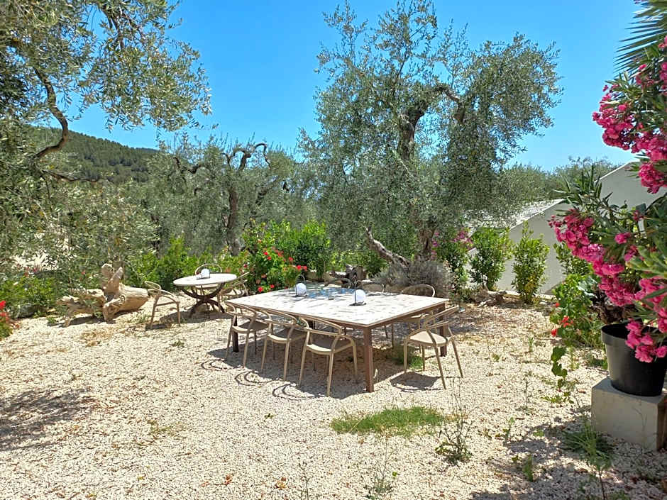 HMO Glamping & Suites in Vignanotica