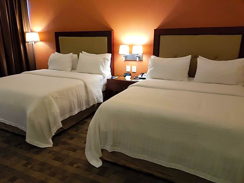 Holiday Inn Leon Plaza Mayor By IHG