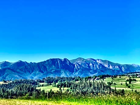 Mountain cozy house in Tatras