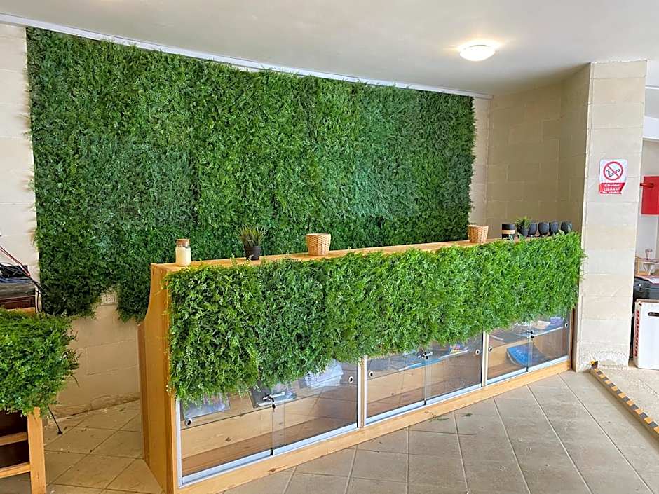 Blue Vision Diving Hotel