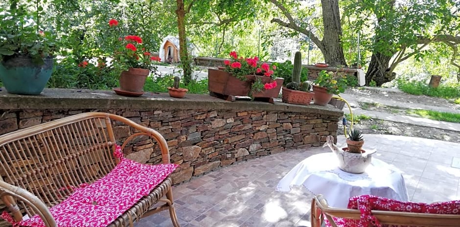 L'Agrifoglio B&B con giardino