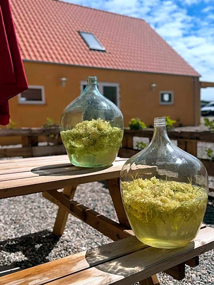 Charming holiday apartment - Beate