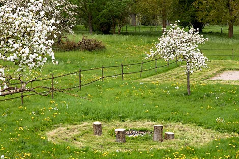 La Pomme Pétillante