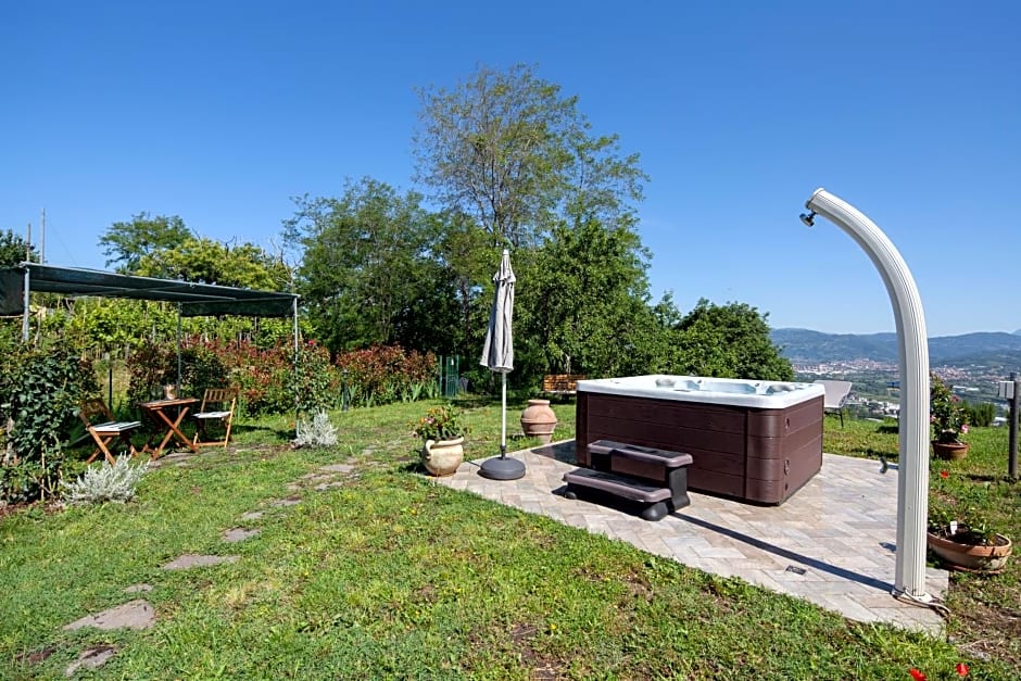 Pietrantica - Affittacamere con giardino NUOVA APERTURA a Trebiano -CITR