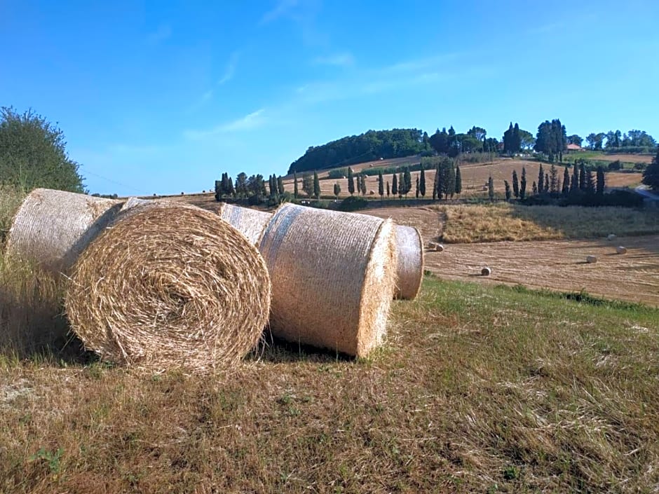 B & B CUORE TOSCANO