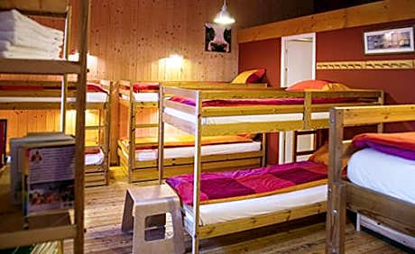 8-Bed Mixed Dormitory Room