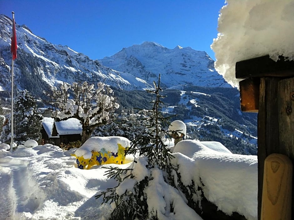 Hotel Bellevue-Wengen - Best view in town!