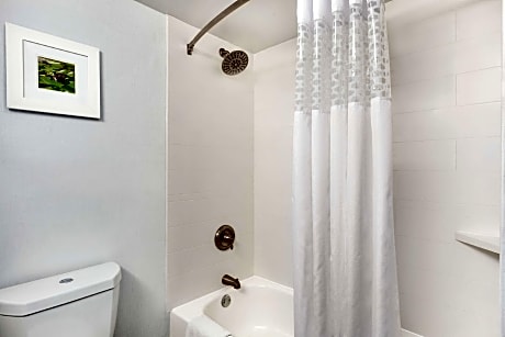 1 King/Walk In Shower/Nonsmoking