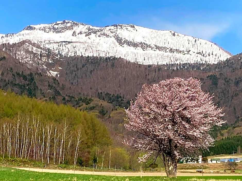 Furano - Hotel / Vacation STAY 35850