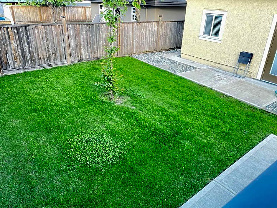 Vancouver west side cozy room