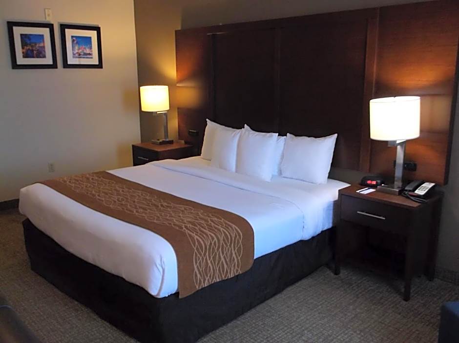 Comfort Inn & Suites Seguin