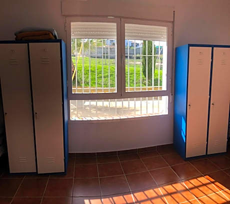 Bed in 8-Bed Mixed Dormitory Room