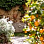 Secret Garden Firenze B&B