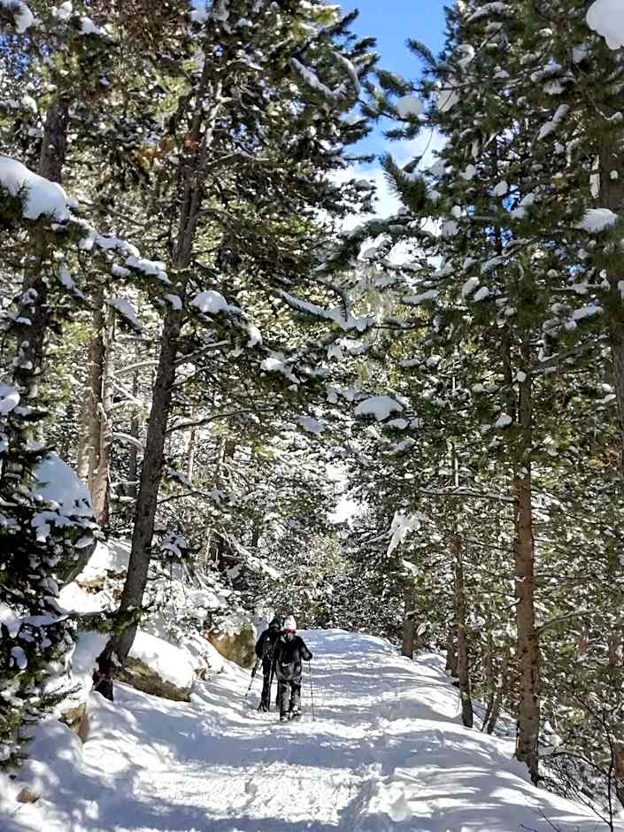 Familiehotel La Randulina