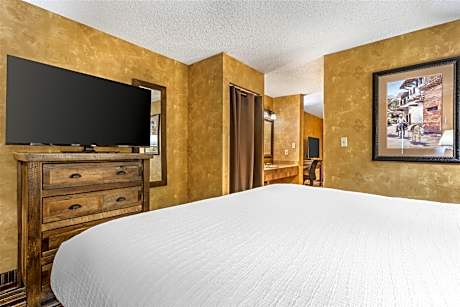 Suite-1 King Bed, Non-Smoking, Balcony, Two Rooms, Sofabed, Wet Bar, Microwave And Refrigerator, Ful