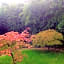 Paradiso Park