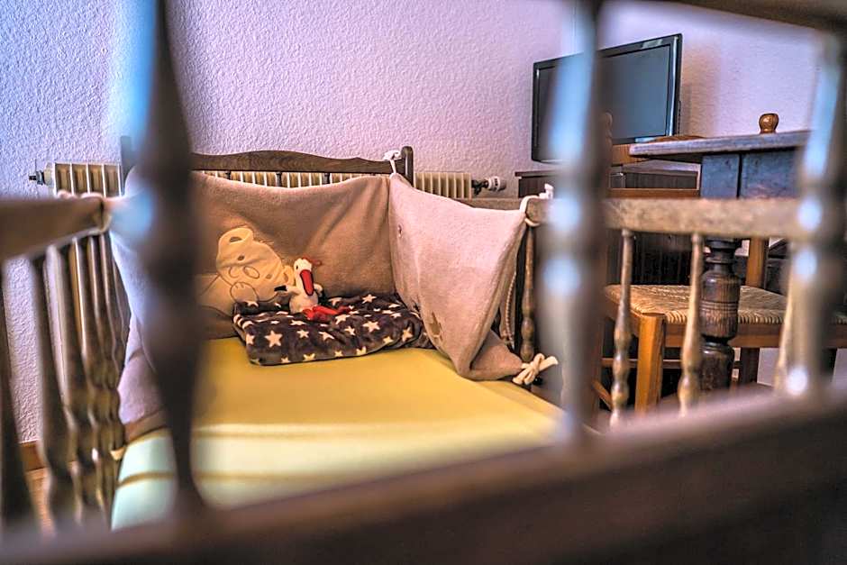 Hôtel Au Vieux Moulin