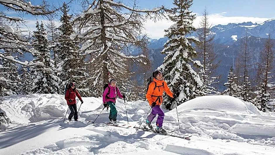 B&B Les Rochers 42 lits