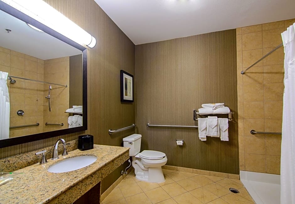 Holiday Inn Arlington Northeast, an IHG Hotel