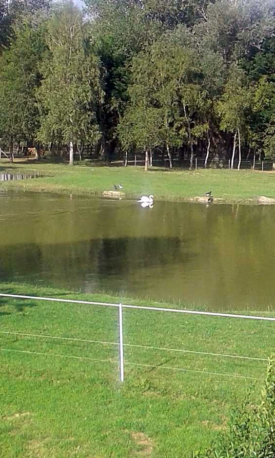 Les Portes des Froises