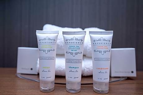 Standard Room, 2 Queen Beds, Sofa Bed