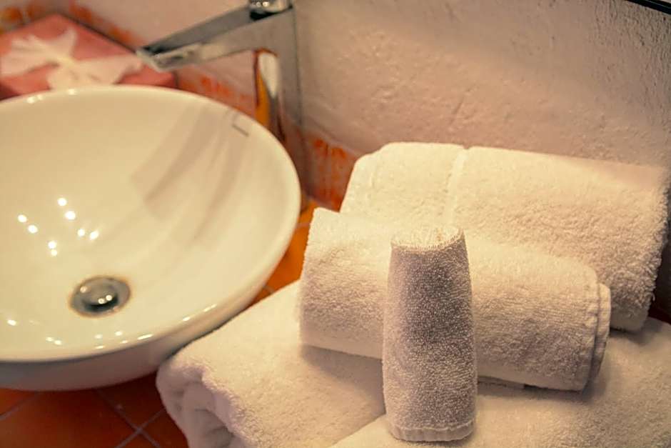 Petit Mesón (Pet Friendly Hotel)