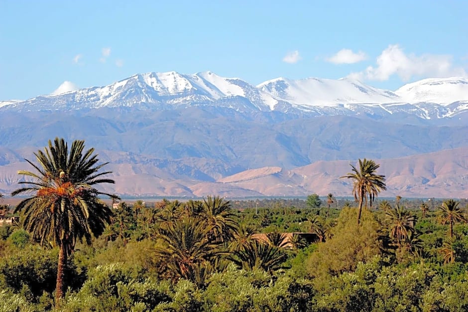 Les Jardins De Skoura
