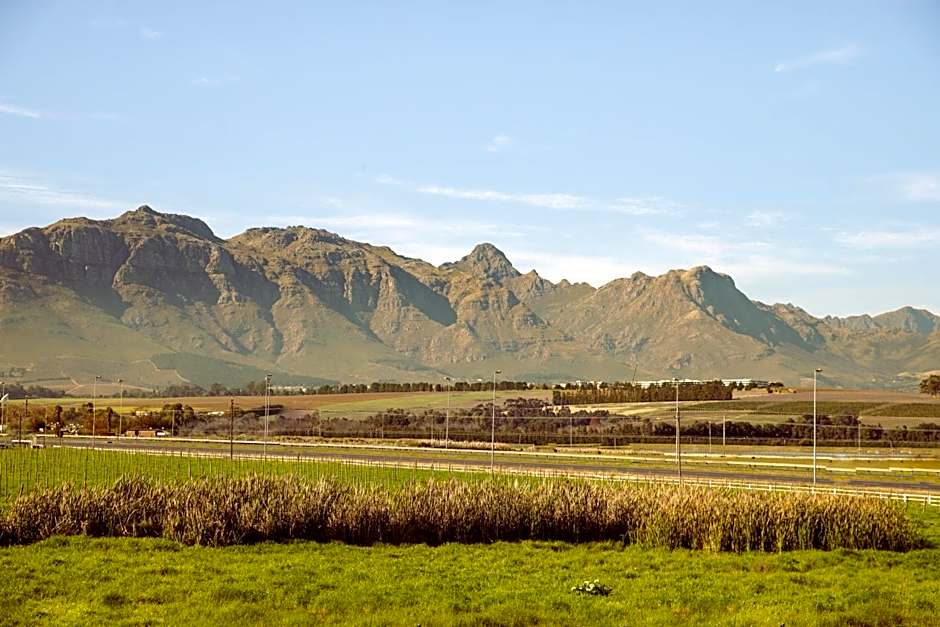 Lovane Boutique Wine Estate and Guesthouse