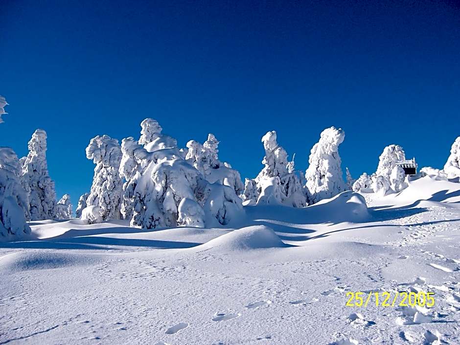 Hotel Brockenstübchen