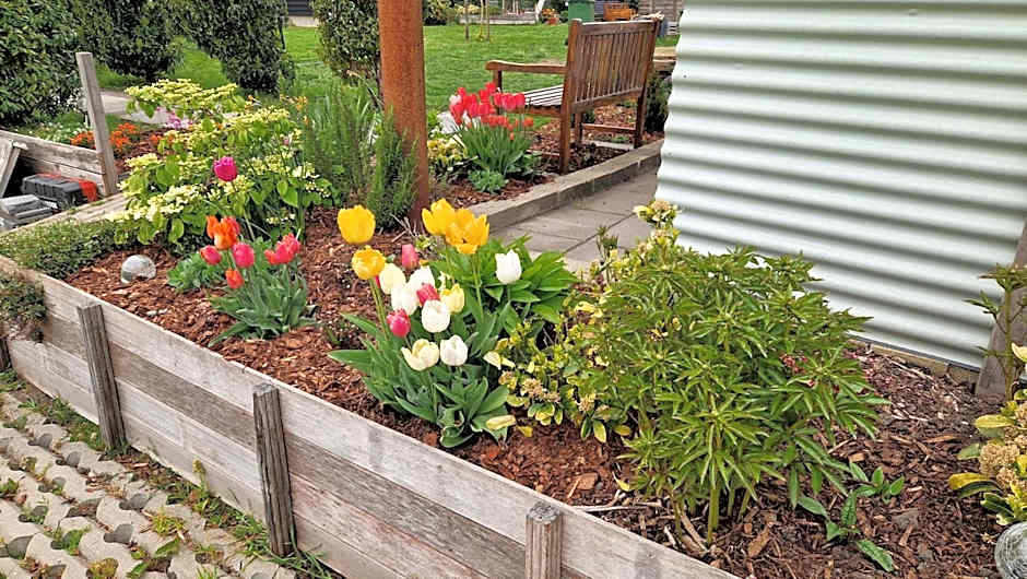 Bed & Breakfast Donna