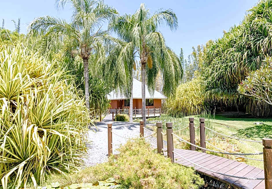 Soul Spring Sanctuary