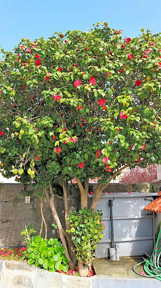 Hotel Senhor de Matosinhos