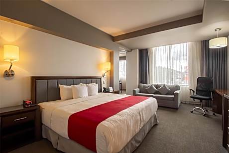 Suite-1 King Bed, Non-Smoking, Junior Suite, Sofabed, Led Cable Tv, Wi-Fi