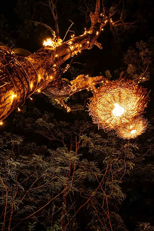 Au Jardin Des Colibris Ecolodge&Spa