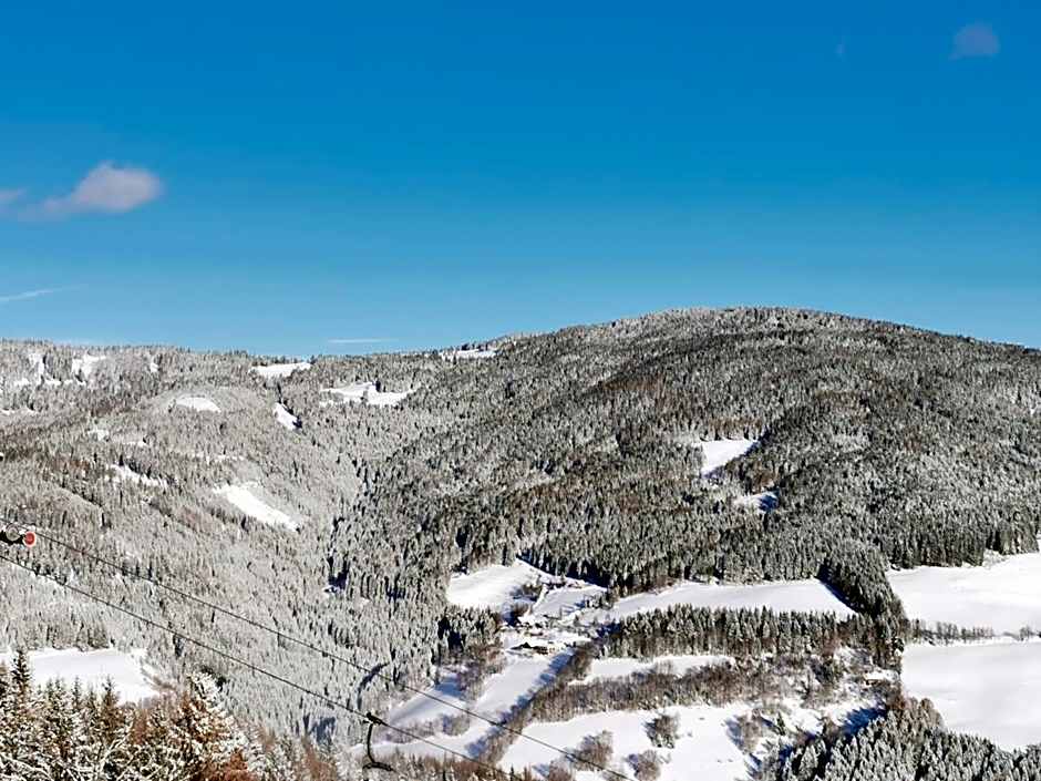 Alpengasthof Fernblick