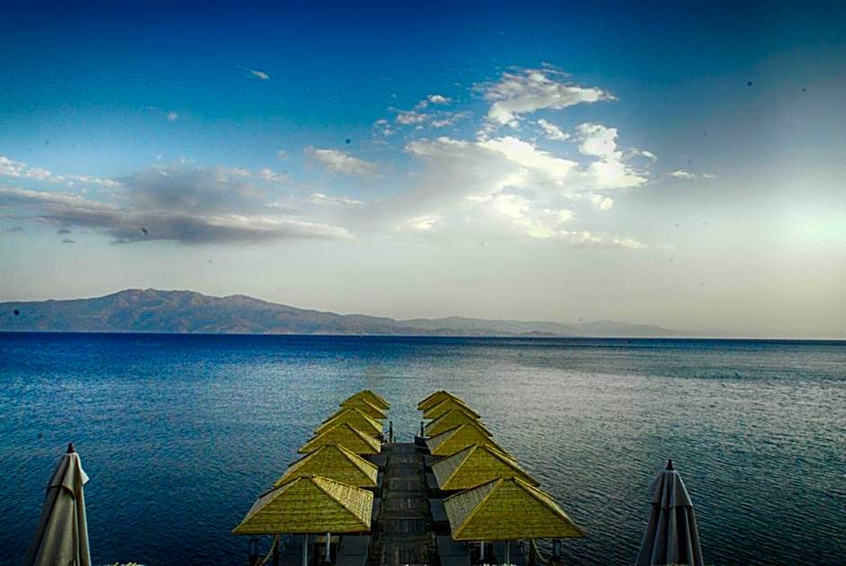 Assos Dionysos Special Class Hotel Adults Only 12 years