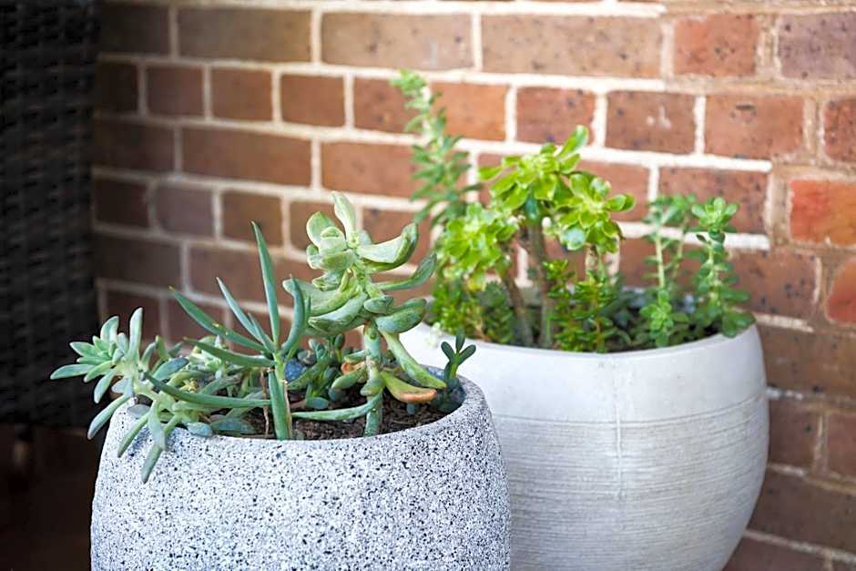 The Parkview Hotel Mudgee