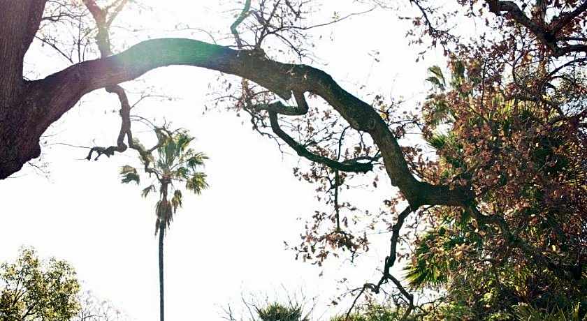 The Country Guesthouse