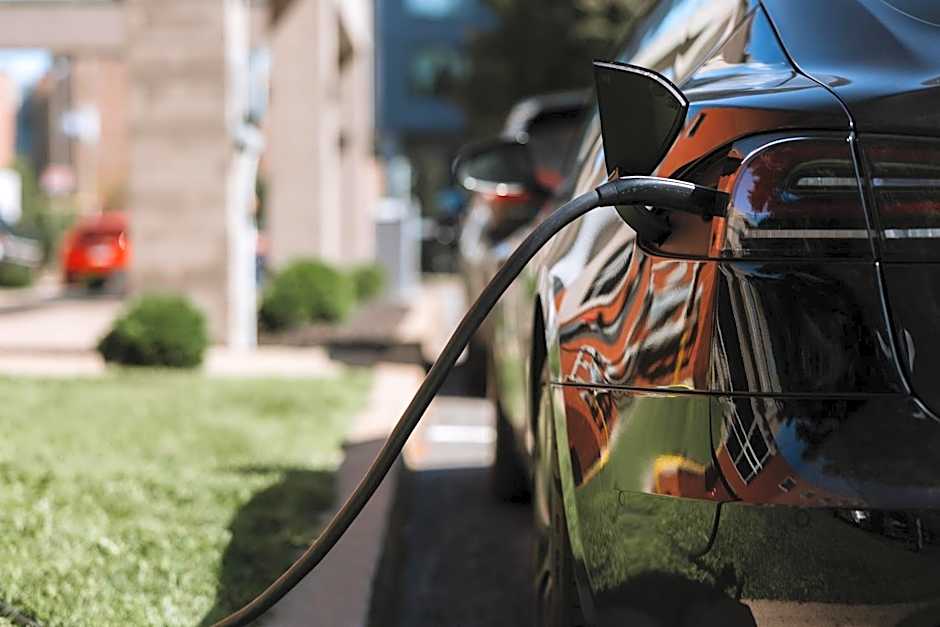 Le Dauphin MontrÃ©al-Longueuil