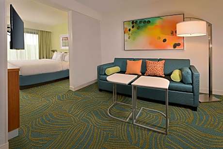 King Suite with Sofa Bed and Adapted Tub - Mobility and Hearing Accessible