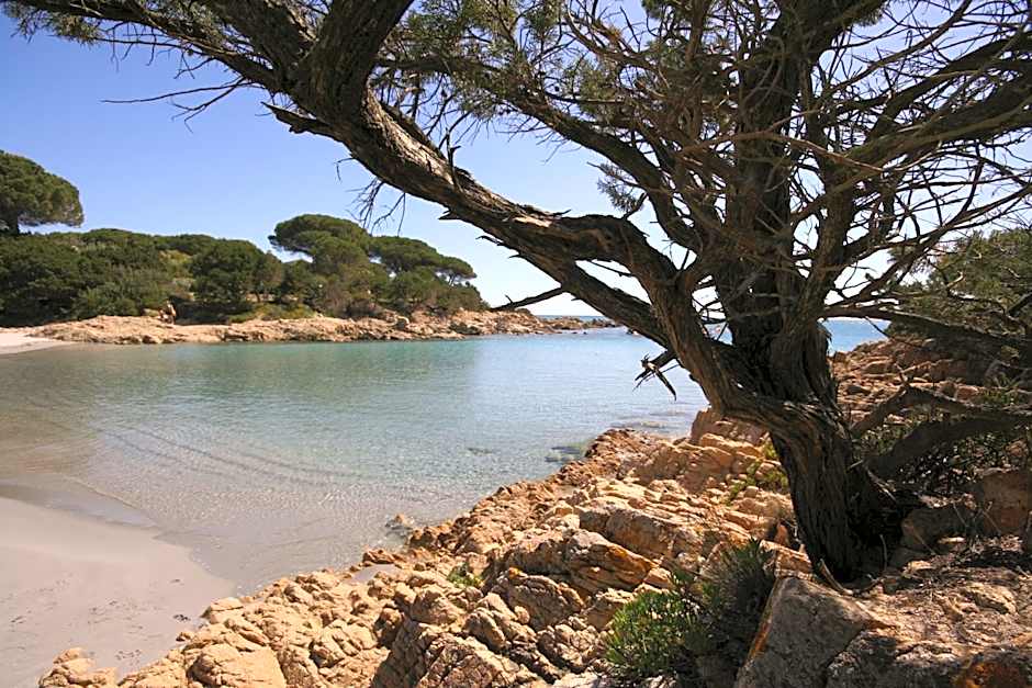 Villa La Conchiglia Rooms